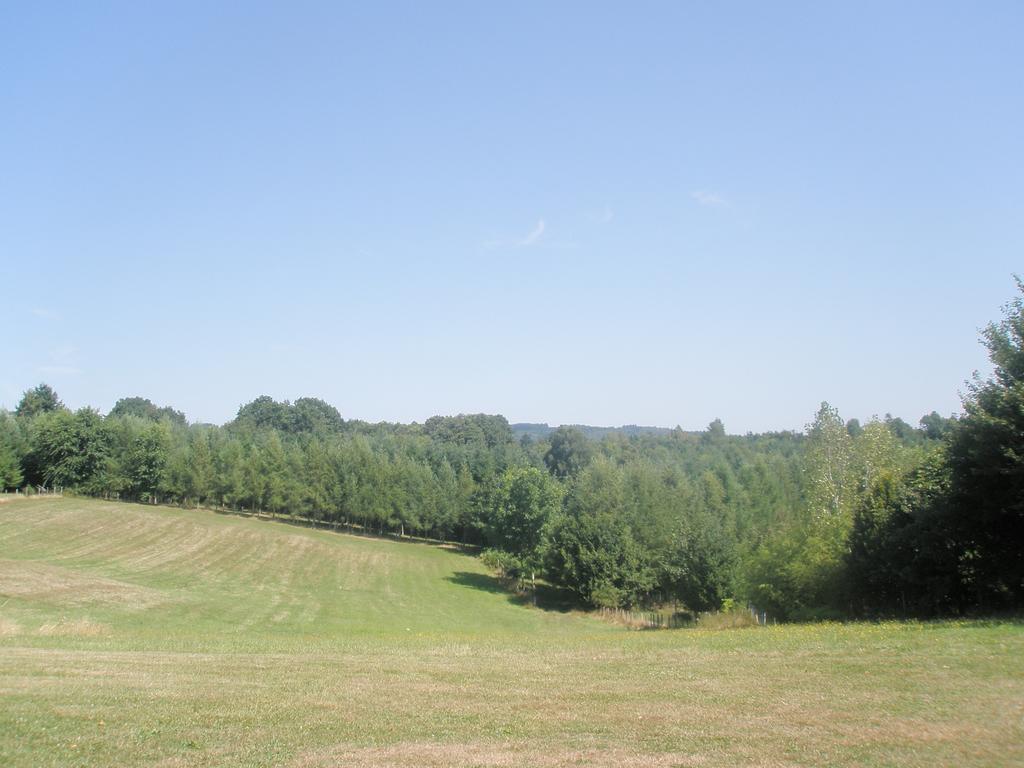 ボナック・ラ・コート La Ferme De Leychoisier Bed & Breakfast エクステリア 写真